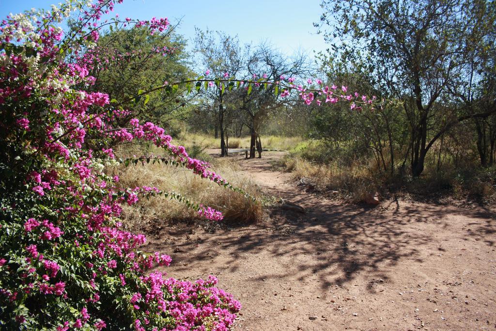 Normann Safari Bush Lodge بهالابوروا المظهر الخارجي الصورة